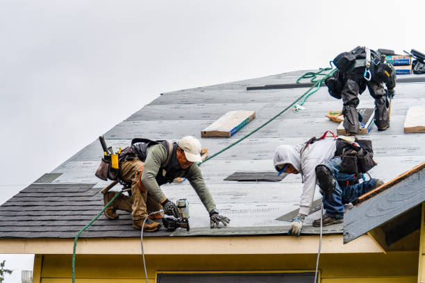 Professional Storm Damage Roof Repair technician working in Pineland, FL
